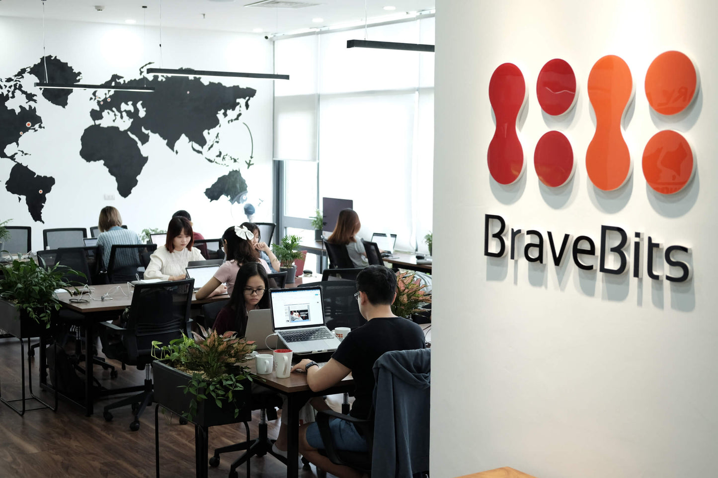 Antique Drawers Not a Lorem Ipsum whatsoever, but your Lorem Ipsum!nNot a Lorem Ipsum whatsoever, but your Lorem Ipsum!